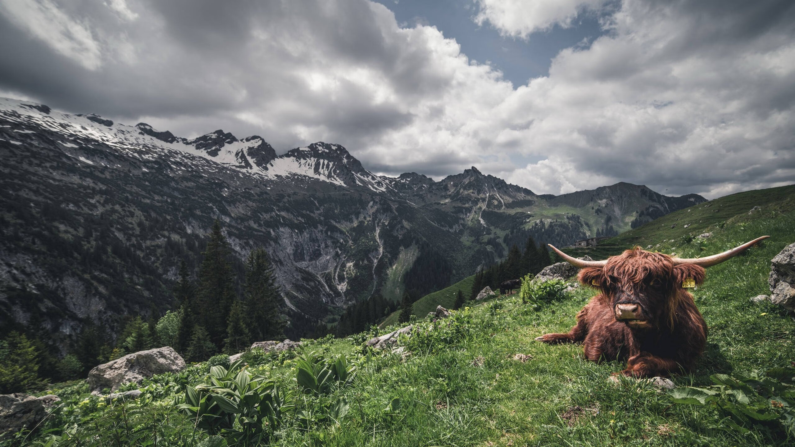《虚拟现实电竞体验：沉浸式观赛开启新纪元》，沉浸式虚拟仿真场景