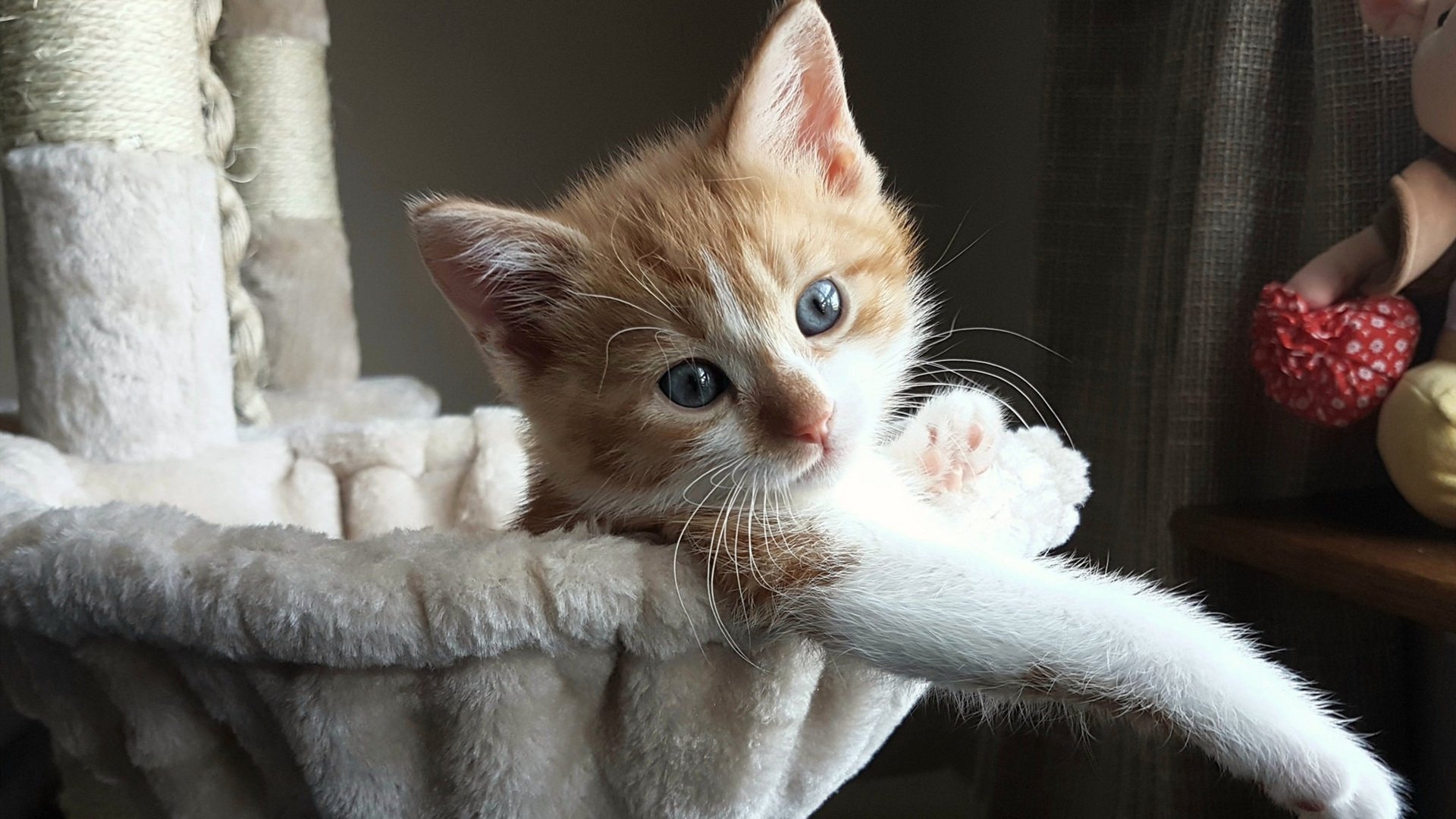 利物浦在欧冠中迎来关键胜利,利物浦欧冠晋级之路