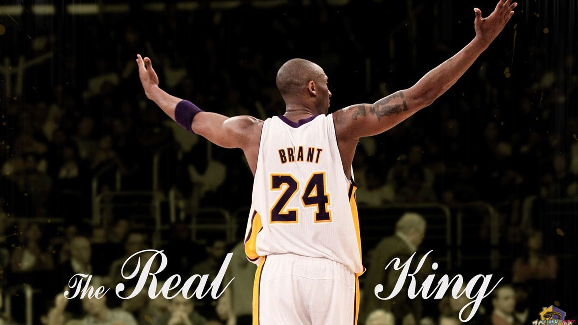 帕金斯成功晋级为未来蓄势，帕金斯有冠军吗